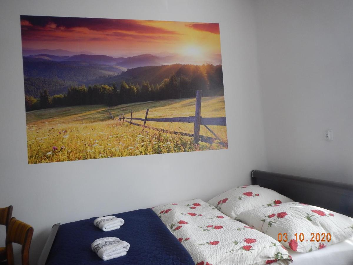 Apartament Providentia Zakopane Witkiewicza 3 Extérieur photo