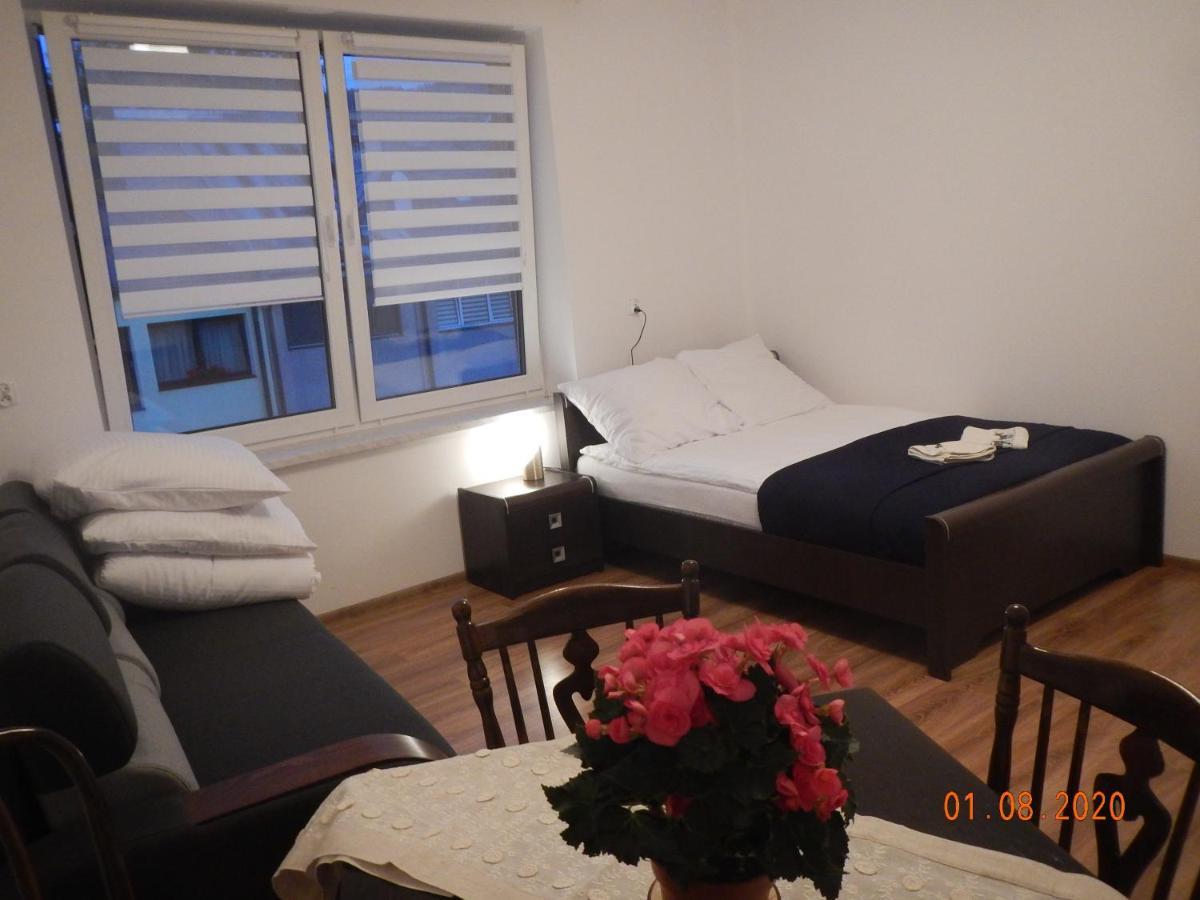 Apartament Providentia Zakopane Witkiewicza 3 Extérieur photo