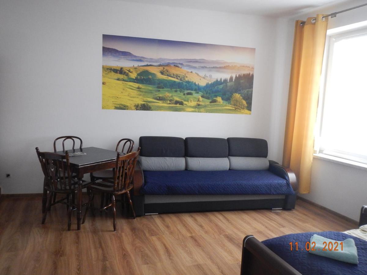 Apartament Providentia Zakopane Witkiewicza 3 Extérieur photo