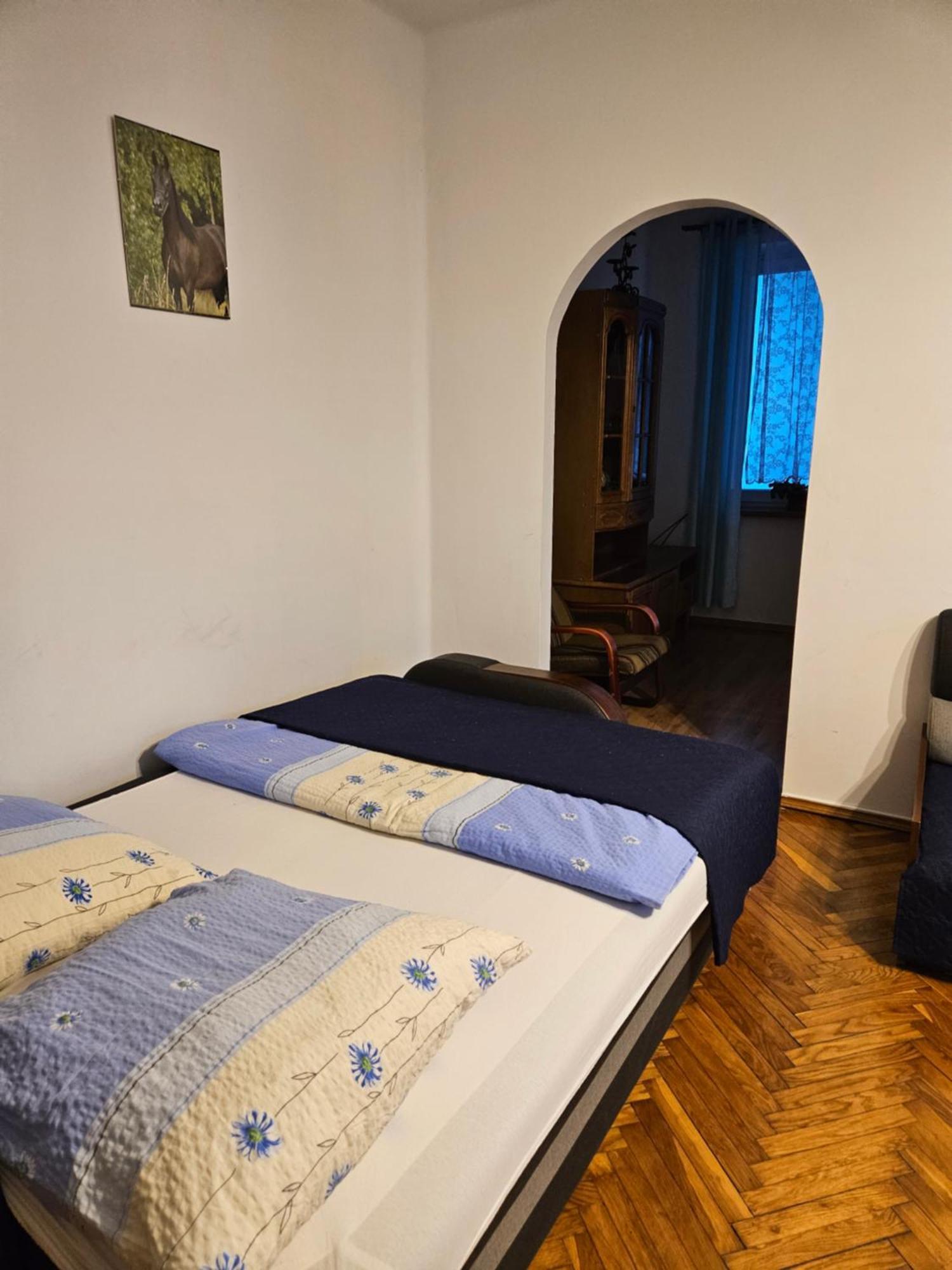 Apartament Providentia Zakopane Witkiewicza 3 Extérieur photo
