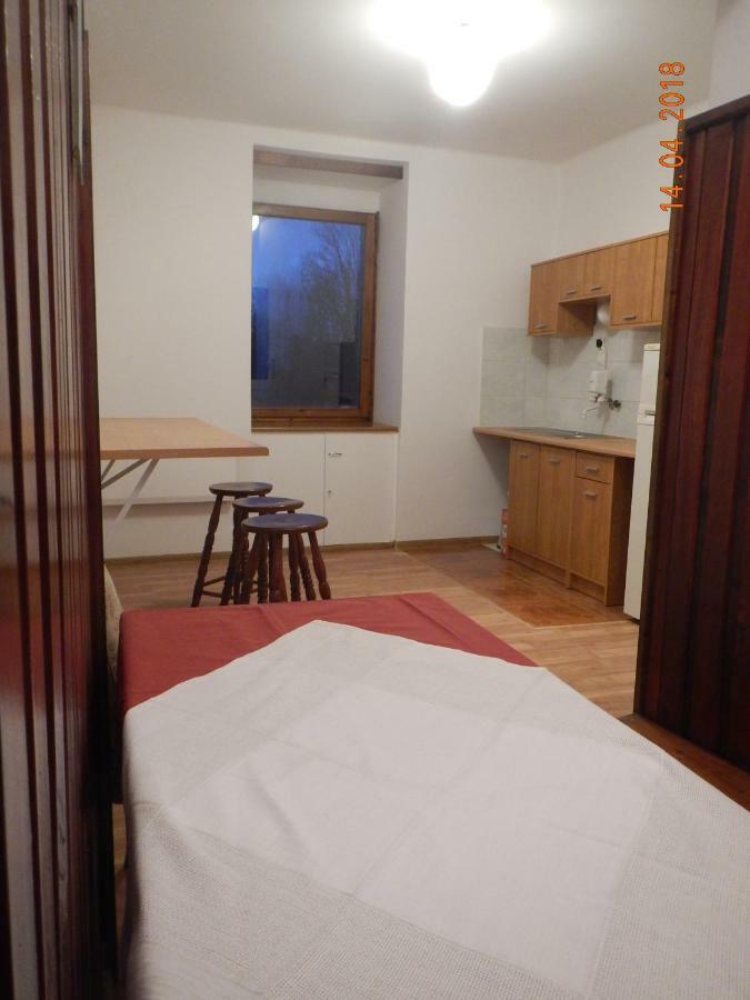 Apartament Providentia Zakopane Witkiewicza 3 Extérieur photo